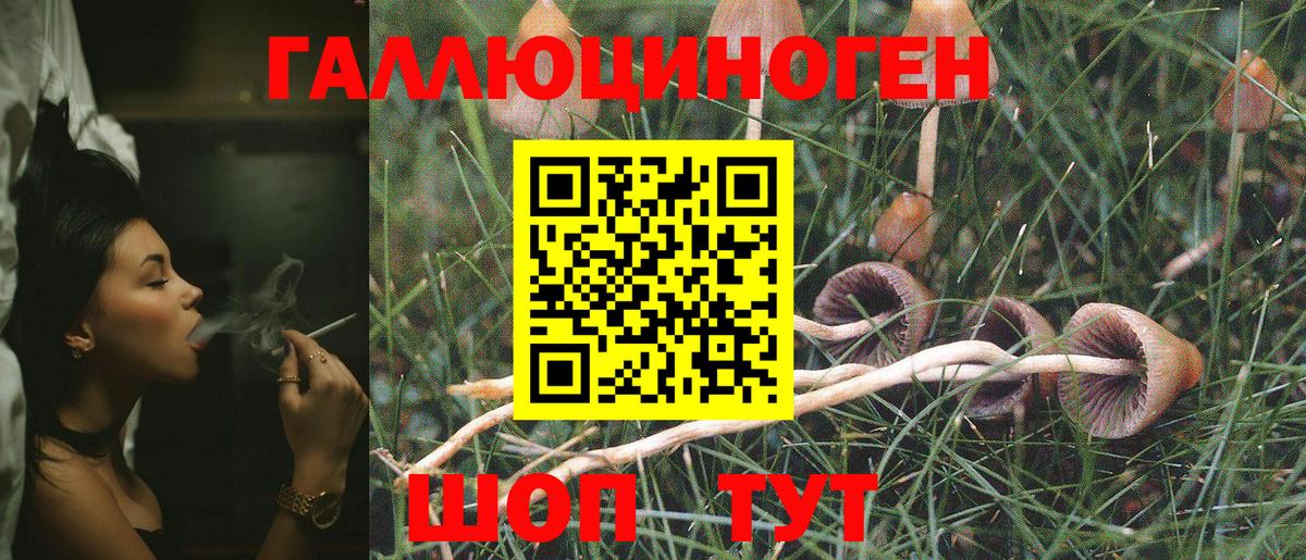 Псилоцибиновые грибы Magic Shrooms Сыктывкар