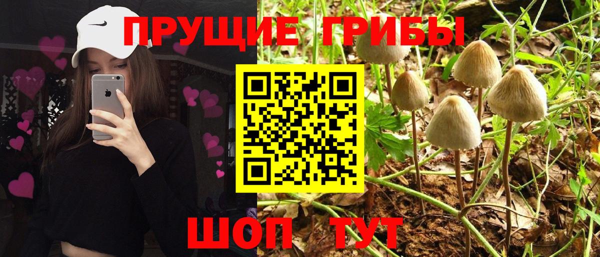 Сыктывкар  Галлюциногенные грибы GOLDEN TEACHER  Вход с VPN 